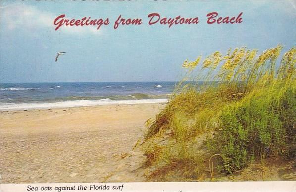 Florida Daytona Beach Greetings From Daytona Beach Sea Oats Against The Flori...