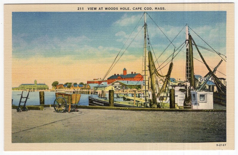 Cape Cod, Mass, View At Woods Hole