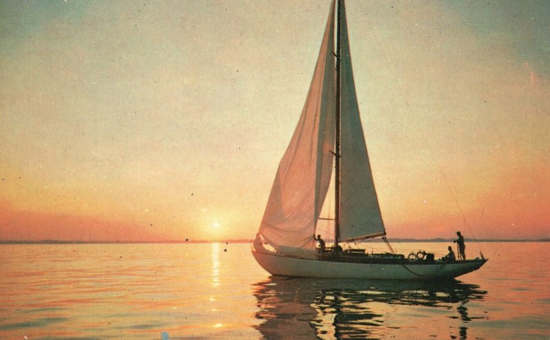 Vintage Postcard View Sea Water Sailboat Sunset Transportation