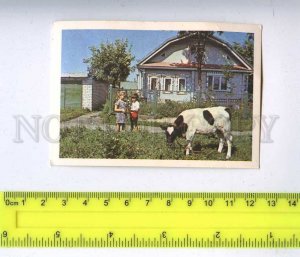 259449 Farmstead cattle insurance Rosgosstrakh ADVERTISING Pocket CALENDAR 1990