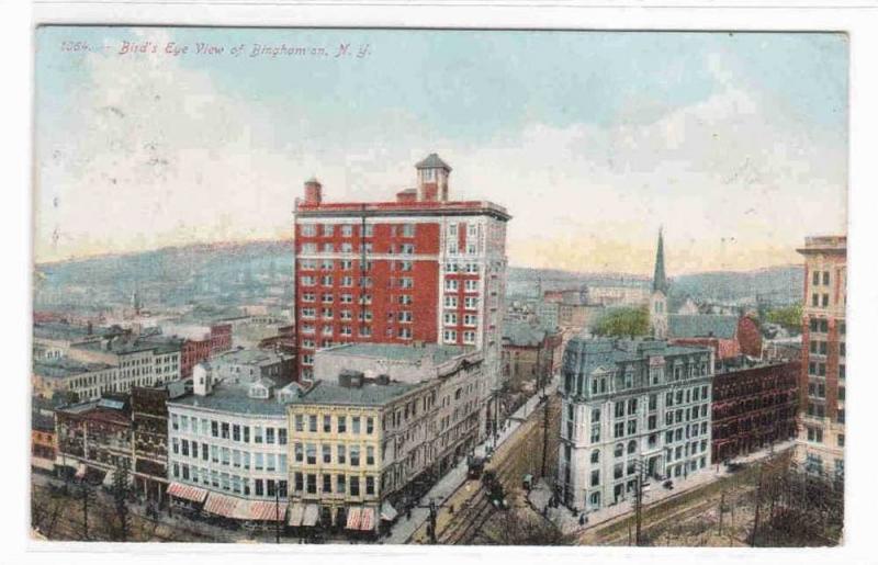 Panorama Binghamton New York 1908 postcard