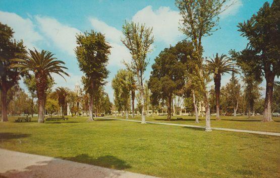 Court House Park Gardens Merced Calafornia Postcard