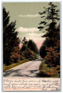 c1905 Lovers Lane Dirt Road Street Trees Rye Beach New Hampshire NH Postcard