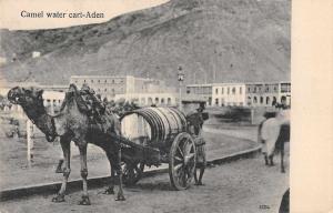 Aden Yemen Camel Water Cart Antique Postcard (J34925)