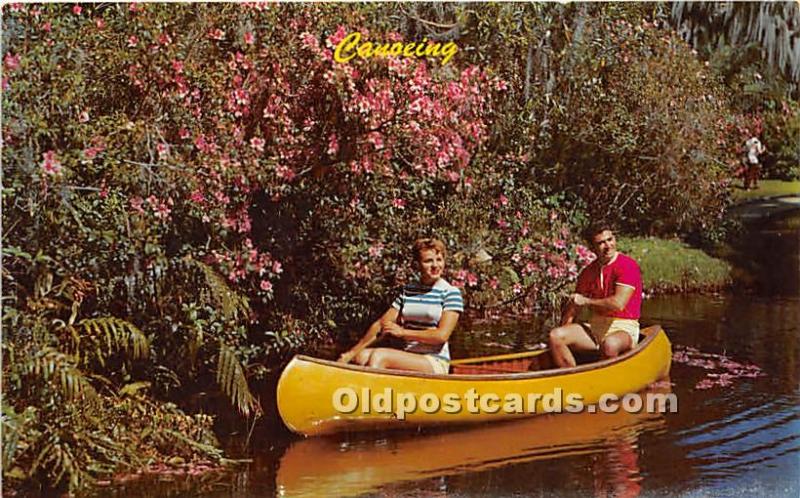 Old Vintage Rowing Postcard Post Card Canoeing Unused