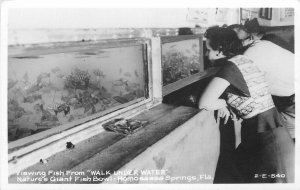 Postcard RPPC 1940s Florida Homosassa Springs Viewing Fish Giant bowl 23-12524