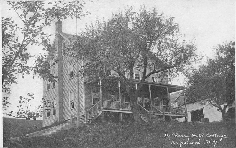 Napanoch New York Cherry Hill Cottage Antique Postcard J41249