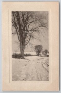 Beautiful Tree Snow Covered Field And Dirt Road Schlesinger Litho Postcard L21