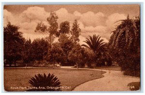 1914 Birch Park Santa Ana Field Trees Orange Co. California CA Vintage Postcard 