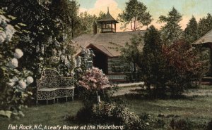 Vintage Postcard 1910's A Leafy Bower at the Heidelberg Flat Rock North Carolina