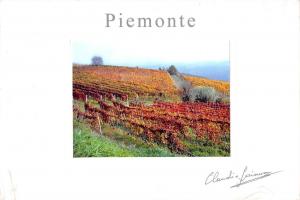 BT0313 Losinno claudio Punto Idea Piemonte      Italy