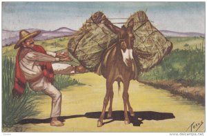 AS: Mexican Countryman struggling with load on Mule, Mexico, 30-40s