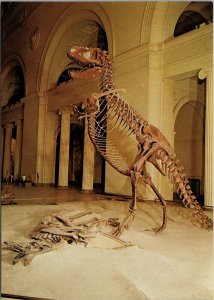 Gorgosaurus Field Museum of Natural History Chicago IL Postcard PC514