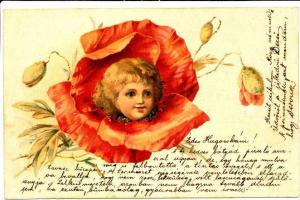 Girl In Flower 1900 Postcard - udb