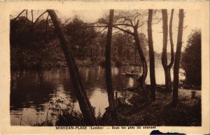 CPA Mimizan-Plage - Sous les pins au courant (111448)