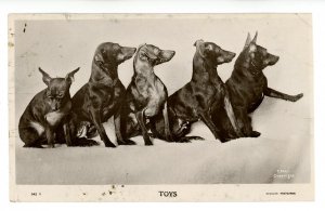 Toys  Five Pups     *RPPC