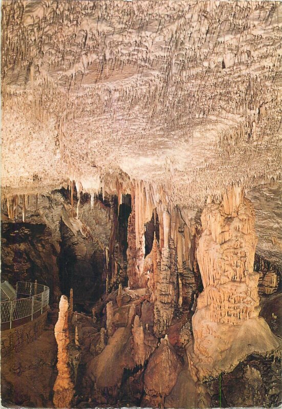 Slovenia Postkarte Postojnska Jama cave - the Spaghetti Hall