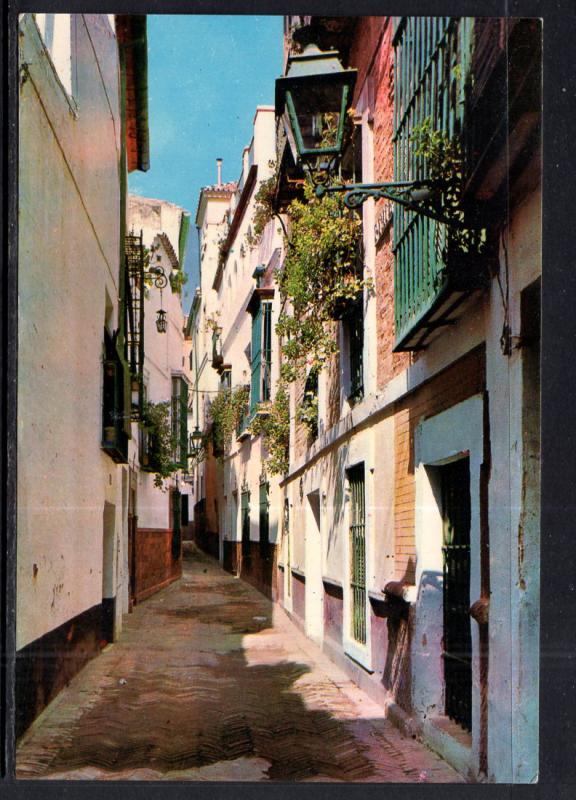 Pimienta Street,Seville,Spain BIN