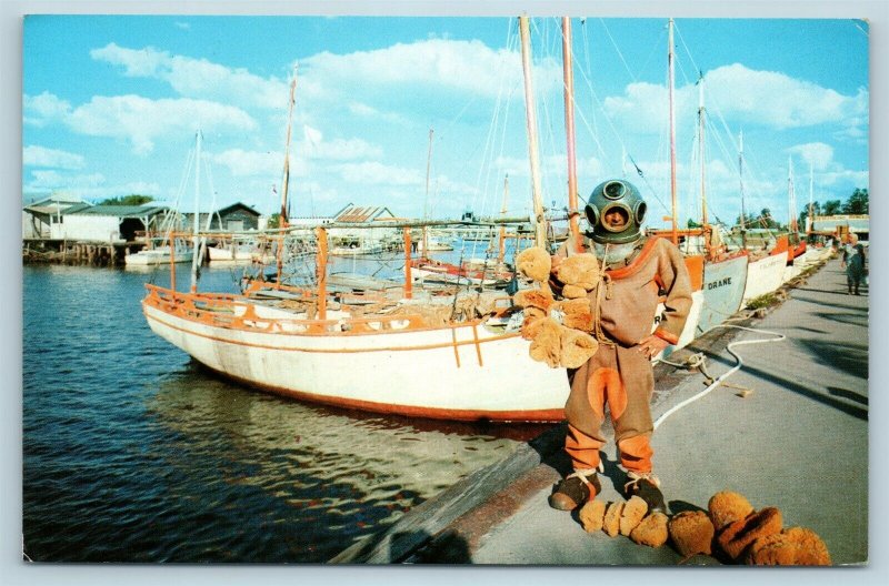 Postcard FL Tarpon Springs Sponge Diver & Sponge Boats c1950s T11