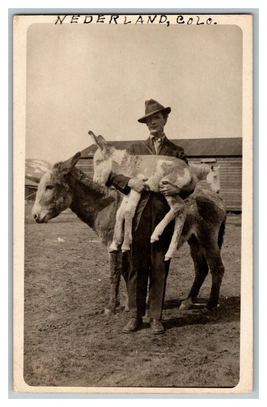 Postcard CO Man Holding Baby Donkey Foal Farm Vintage Standard View Card RPPC 