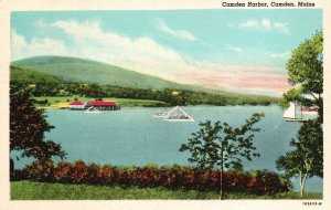 Vintage Postcard Camden Harbor Picturesque View Camden Maine C. T. American Art