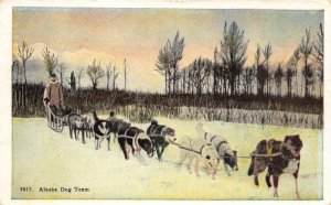 ALASKA DOG TEAM Sled Dogs Huskies Vancouver, BC 1935 Vintage Postcard