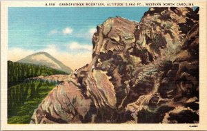 Grandfather Mountain Western North Carolina Scenic Landscape Linen Postcard 
