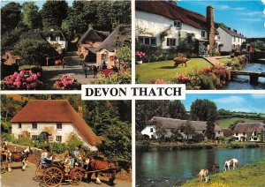 Lot242 uk devon thatch carriage types horse