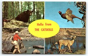 1960s CAIRO NEW YORK HELLO FROM THE CATSKILLS BEAR PHEASANT DEER POSTCARD P916