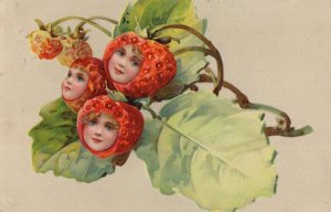 Faces Alive in Strawberry Fruits Antique Unique Postcard