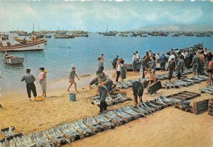 Lot99 sesimbra lota do peixe prtugal fishing types boat fish market