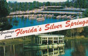 Florida Greetings From Silver Springs Showing Glass Bottom Boats