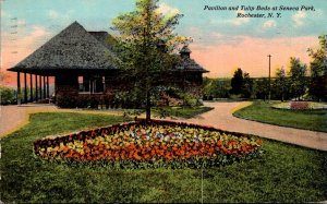 New York Rochester Seneca Park Pavilion and Tulip Beds 1911