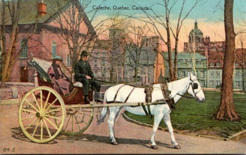 Canada Quebec Caleche Horse Drawn Carriage