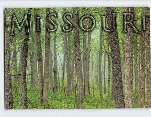 Postcard Mark Twain National Forest Missouri USA