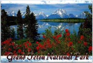 CONTINENTAL SIZE SIGHTS SCENES & SPECTACLES OF GRAND TETON NATIONAL PARK #5