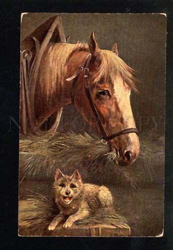 047326 Head of HORSE & Dog TERRIER by MULLER vintage PC