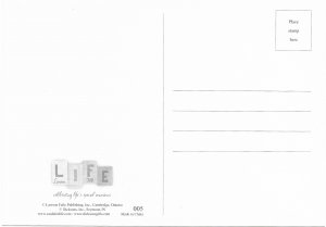 US LIFE Card. unused. Go out with Joy, be led with Peace.