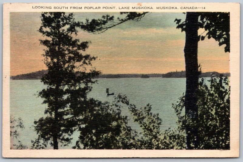 Postcard Lake Muskoka Ontario c1937 Looking South From Poplar Point Scenic View