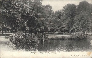 East Islip Long Island New York NY Winganhauphague Brook c1910 Postcard