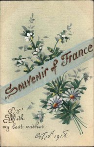 Handmade Hand Painted Flowers France Souvenir Silk Sash c1908 Postcard