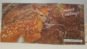 Deer Cardinal Season's Greetings Vintage Postcard