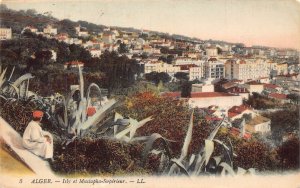 A614 Algeria Algiers Alger 1922 Isly et Mustapha Superieur Plants postcard