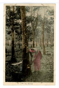 Ceylon - Sri Lanka. Tapping Rubber Tree