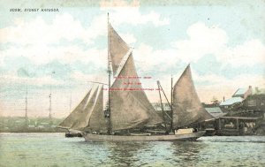 Australia, Sydney, Scow, Sydney Harbour