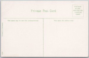 Vintage Public Library Sarnia Canada Lithograph Postcard H81