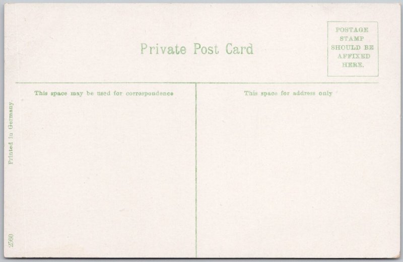 Vintage Public Library Sarnia Canada Lithograph Postcard H81