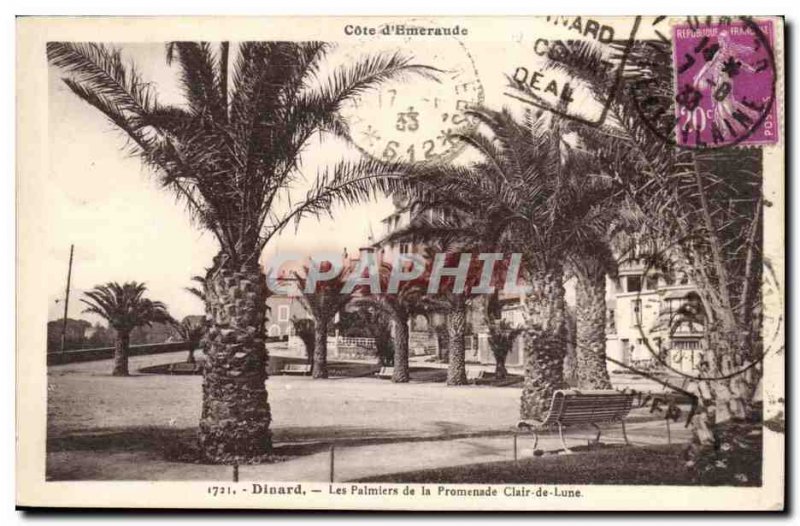 Dinard Old Postcard The palms of the Clair Parkway Moon