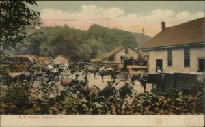 Bristol NH RR Train Station Depot Horse Teams c1905 Postcard UDB