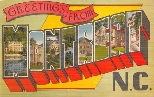 Greetings from Montreat North Carolina, USA Large Letter Unused 